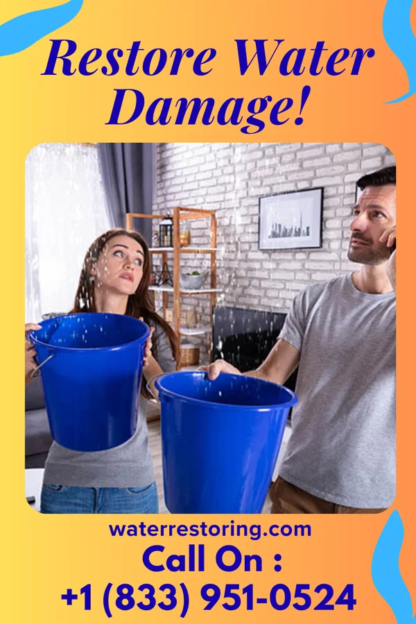 water restoration Western Property Restoration Experts Bradgate